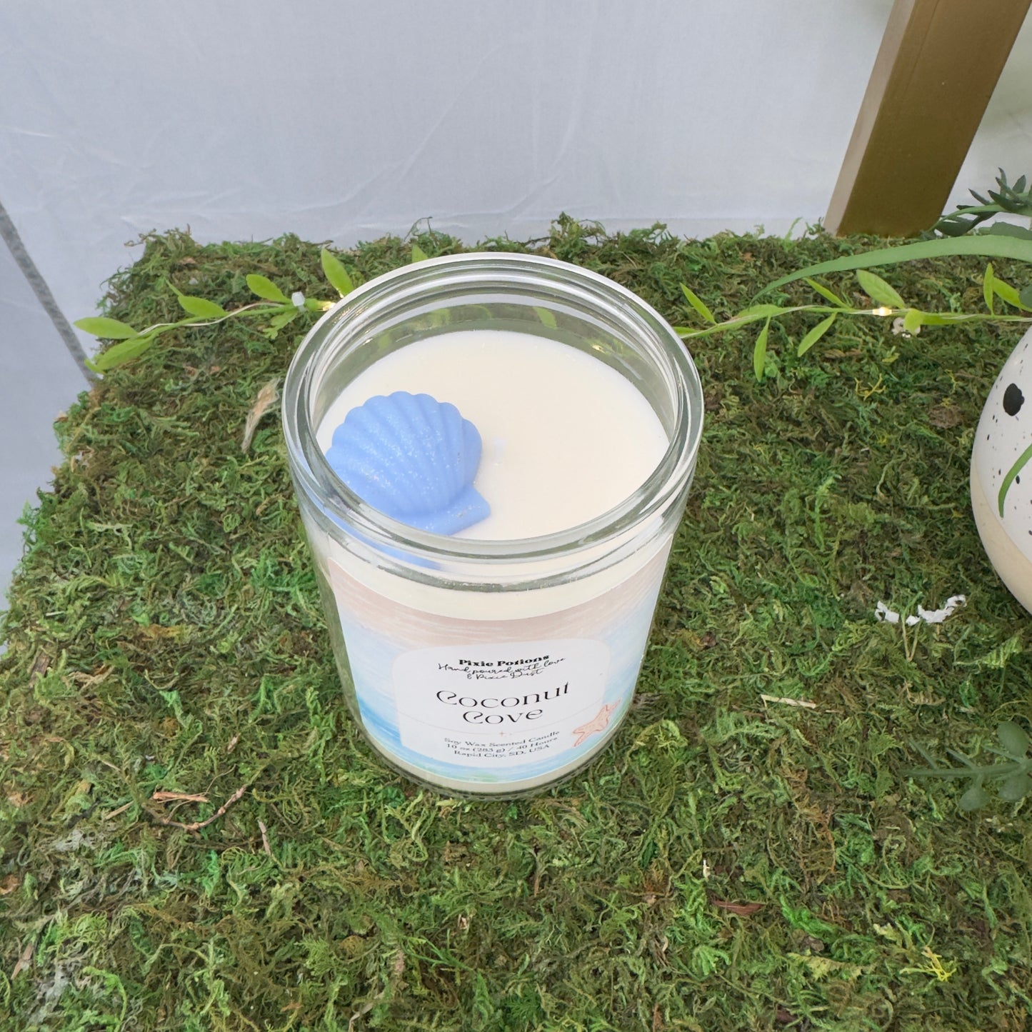 Coconut Cove 10oz candle