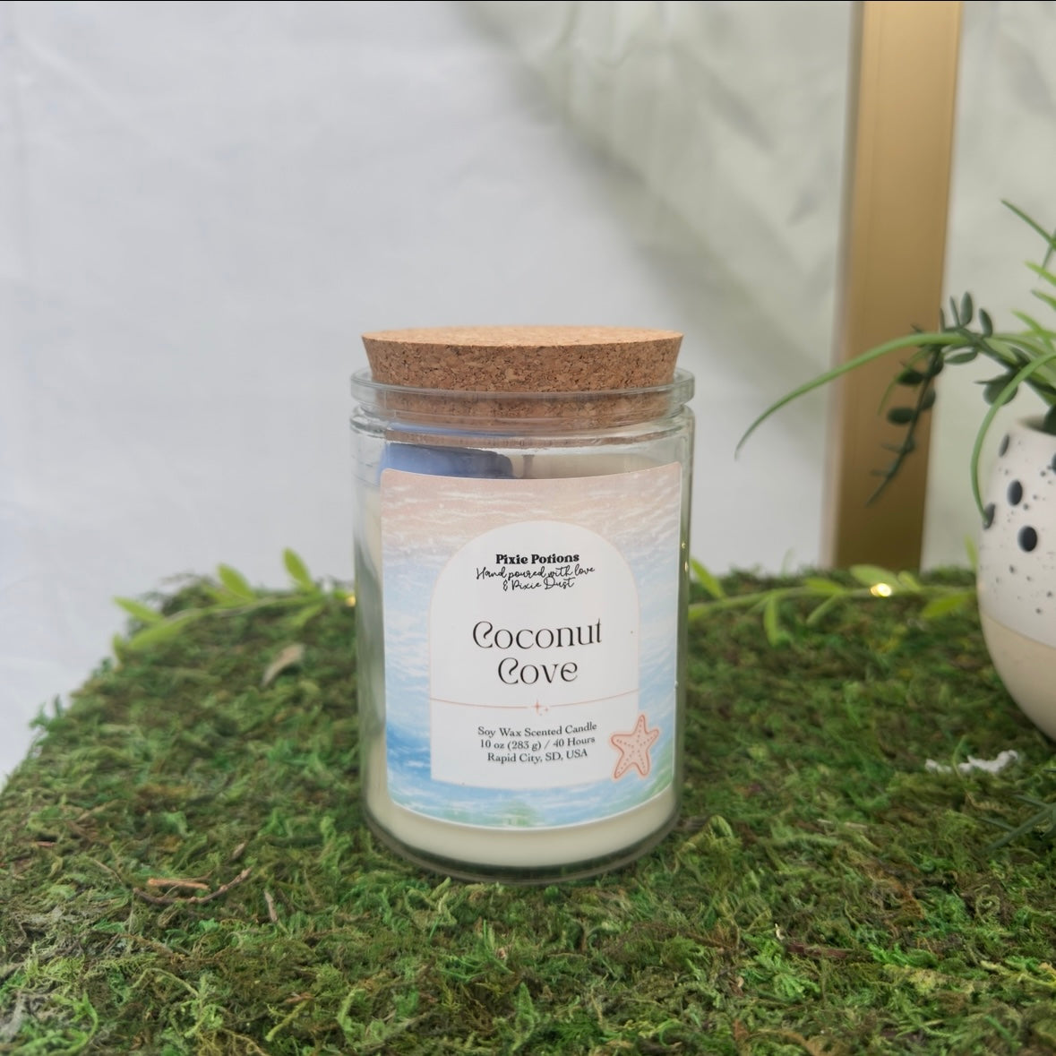 Coconut Cove 10oz candle